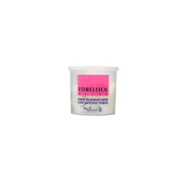 Helen Seward Decolorante Forelock Blank 650gr.